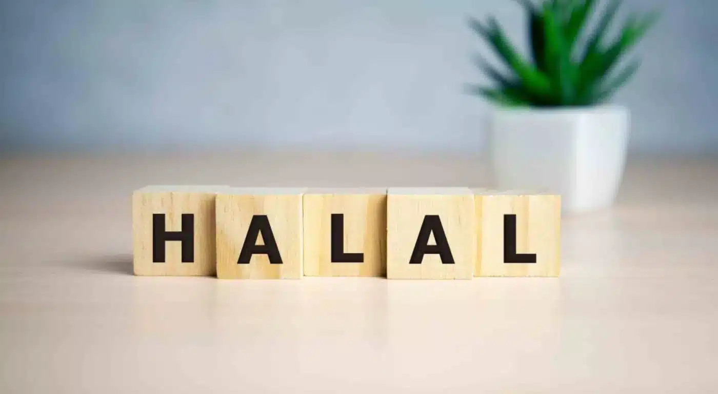 wood blocks spelling halal